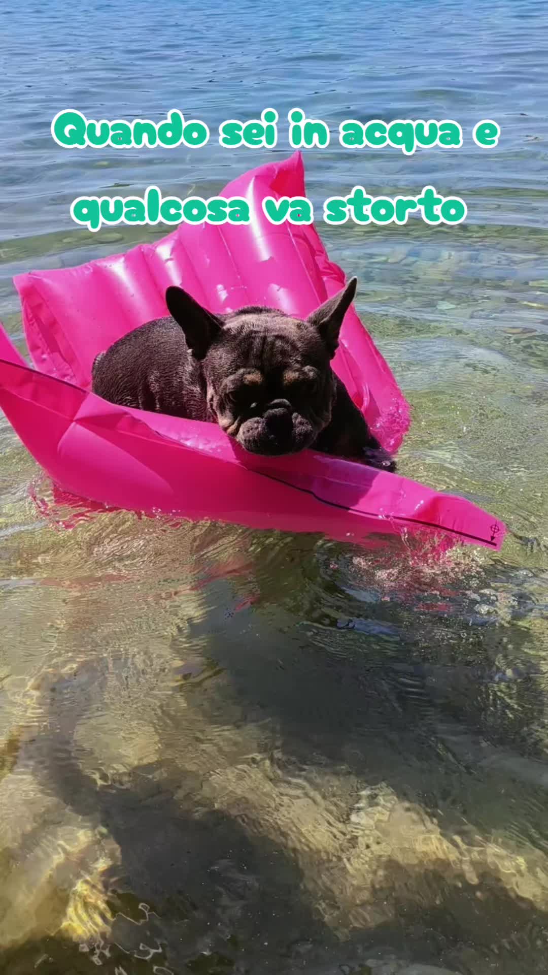 @Pergliamici Ciccio