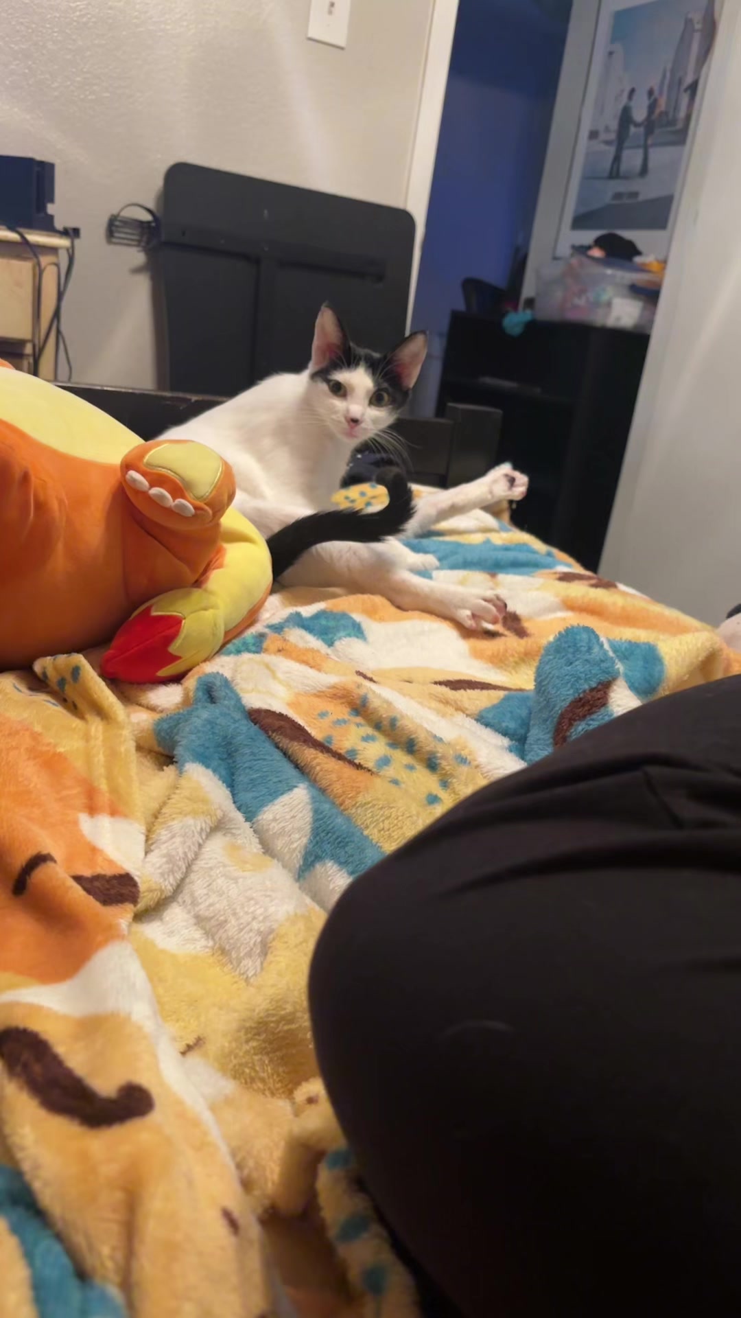 @catwomanxbatman95