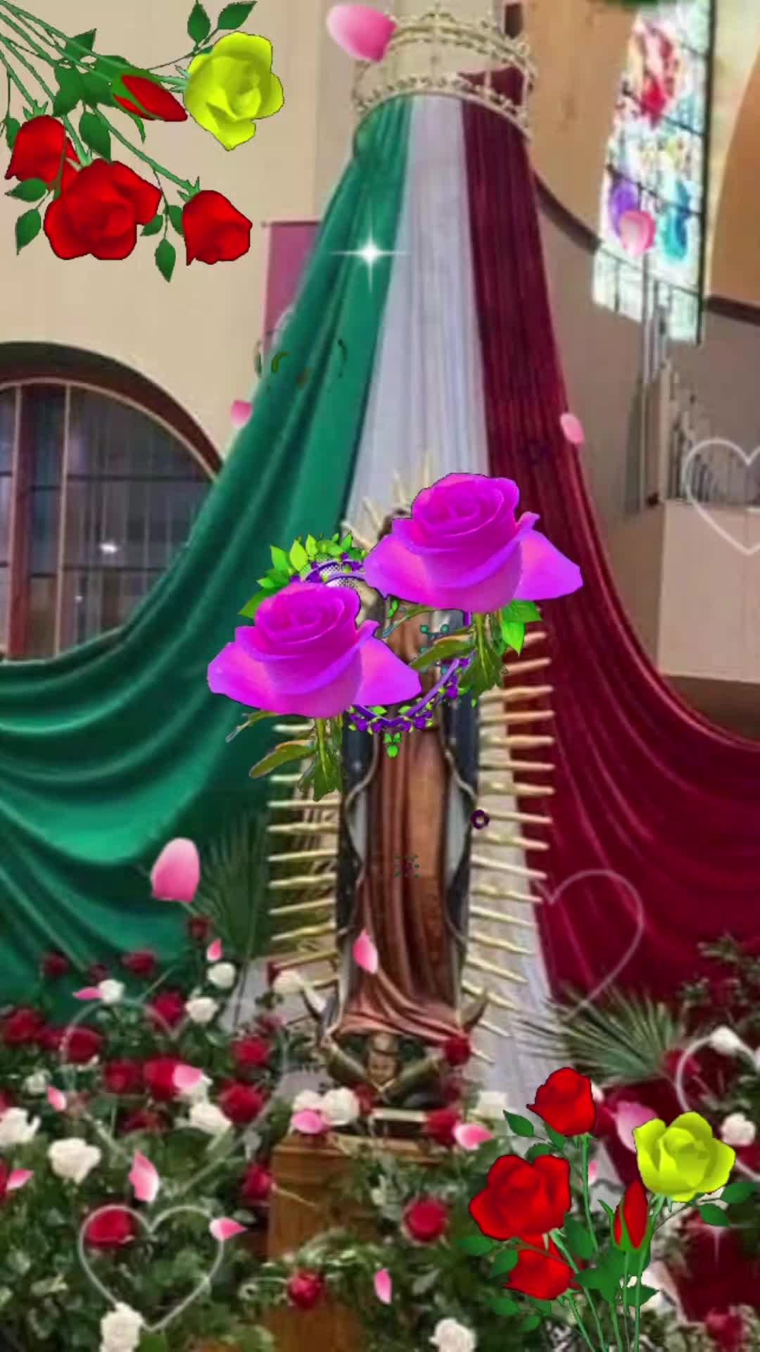 @michoacanomontoy6