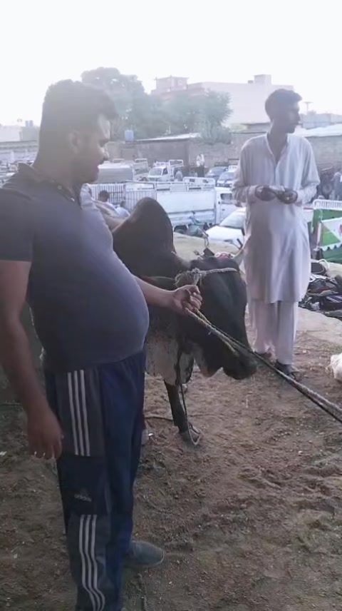@R.K Moter