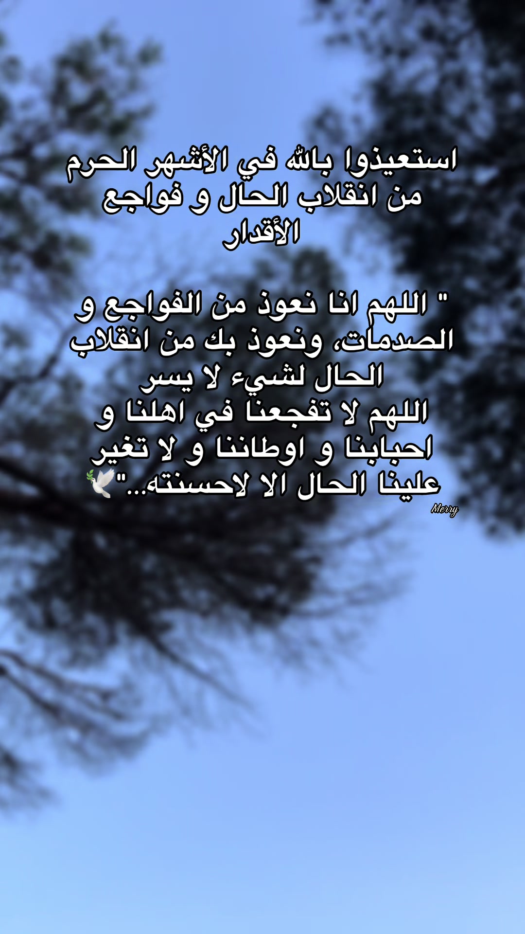 @merry