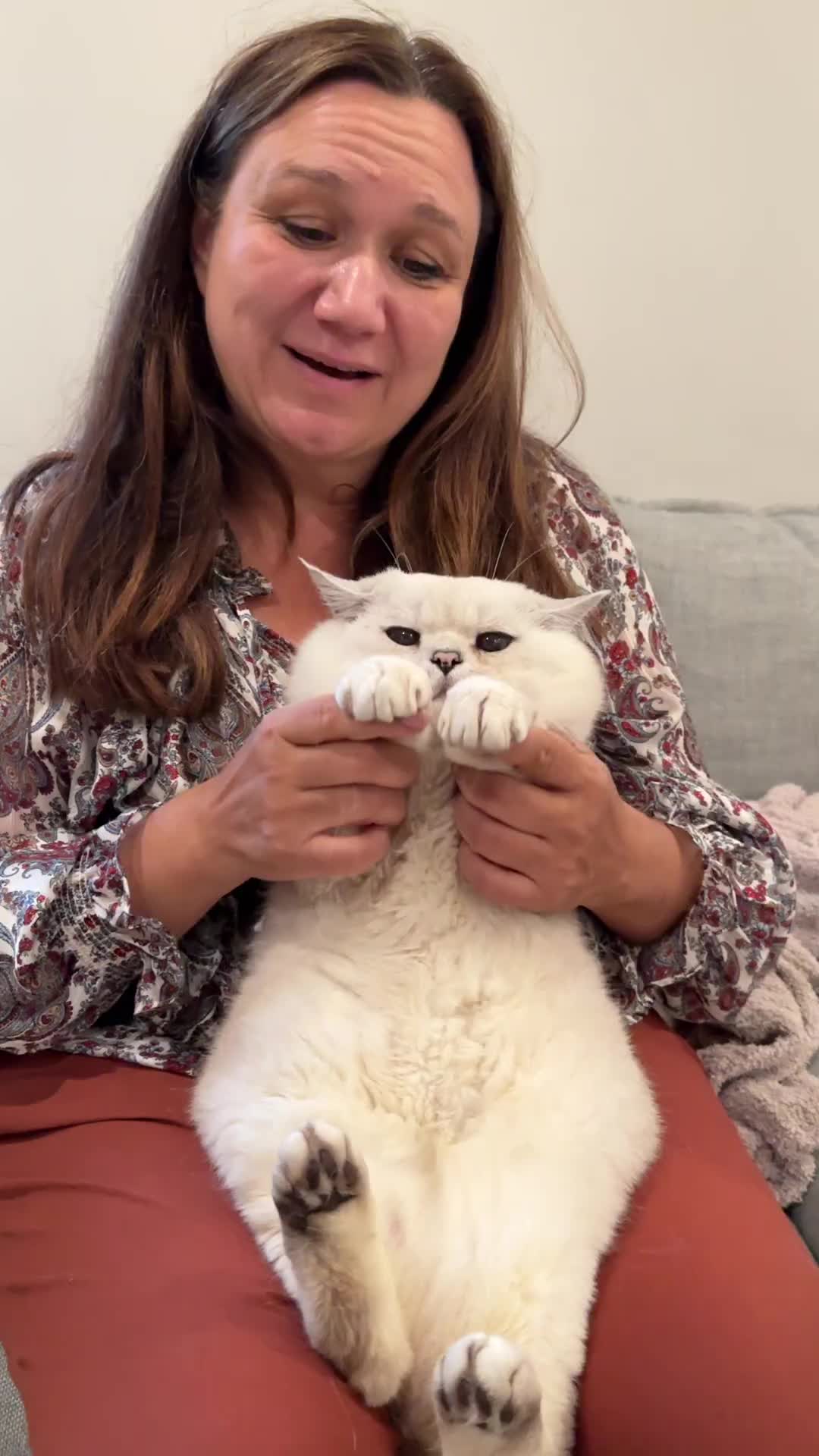 @LorettaBritish Cat