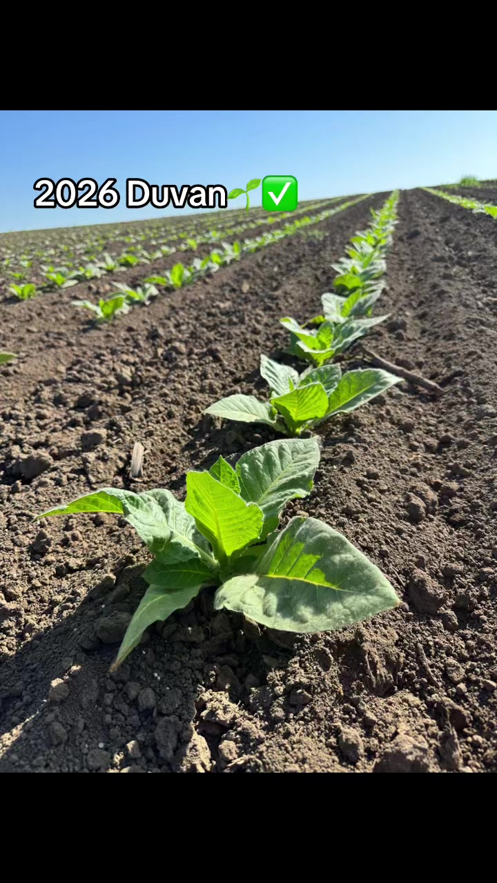 @Agriculture_vojvodina