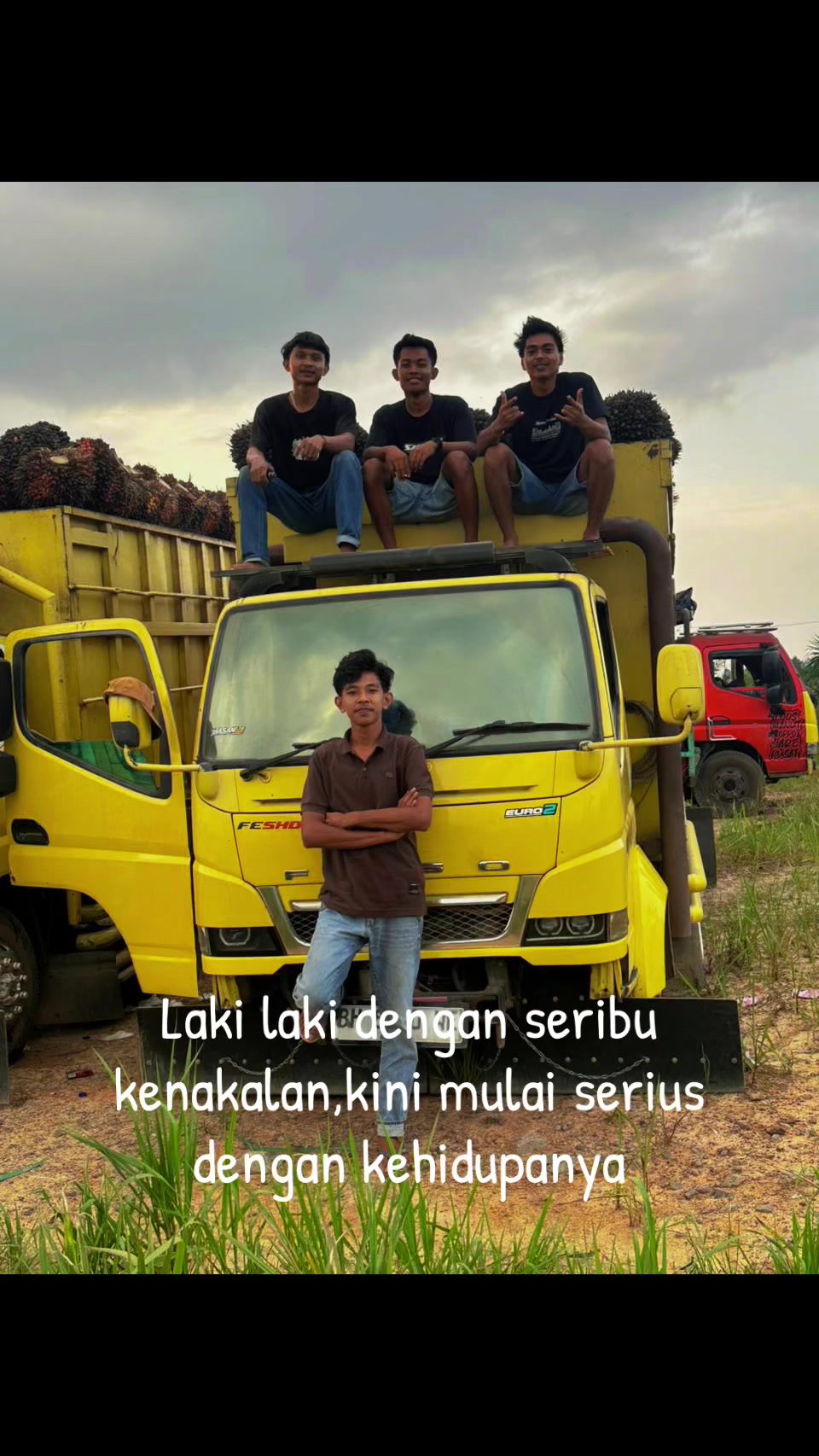 @cemot