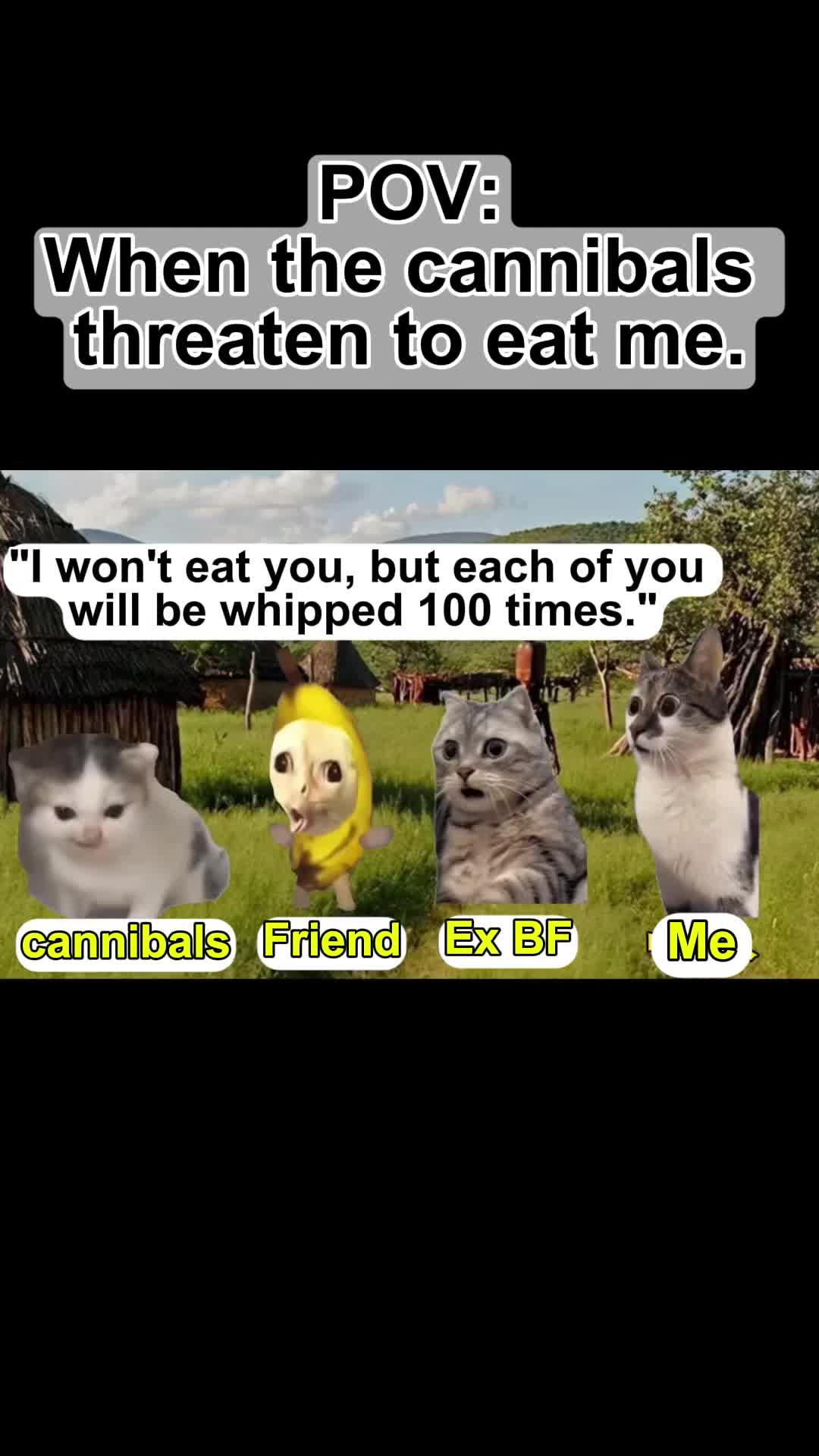 @Meme Meow 🐈🐈⬛