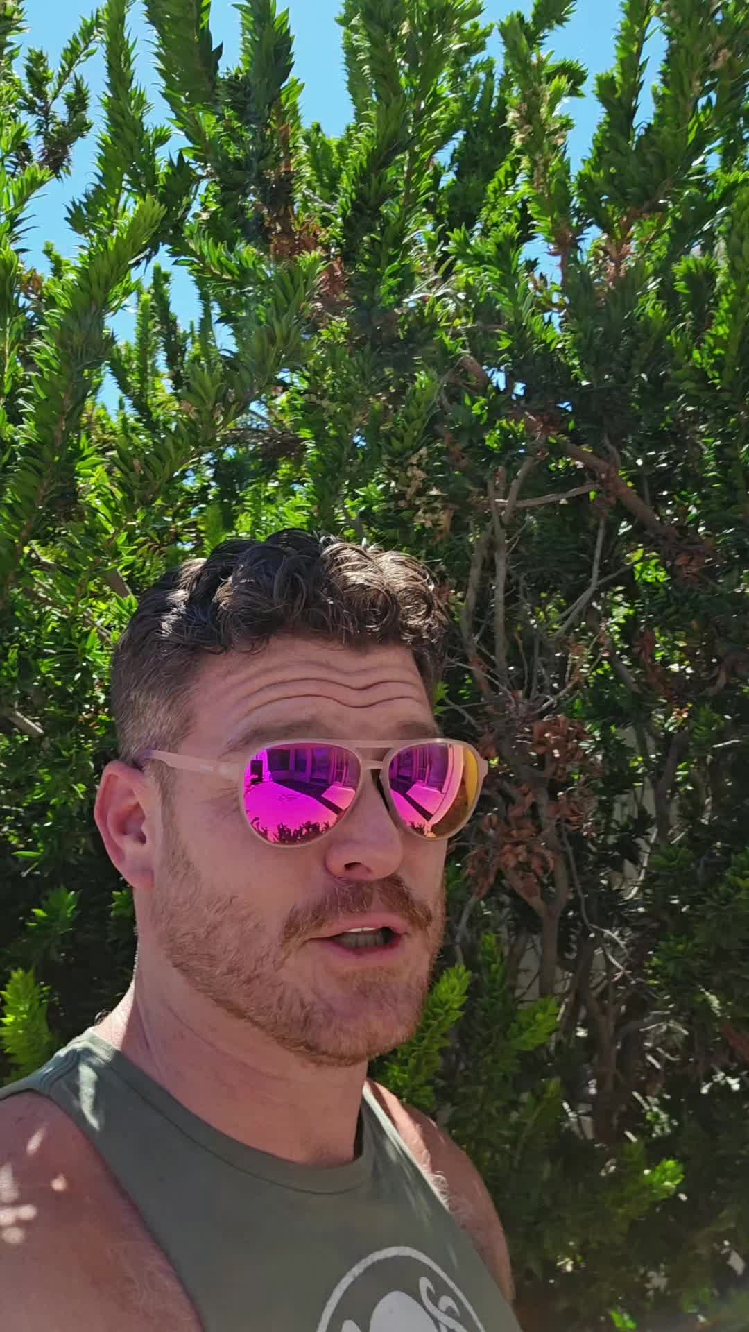 @Zak