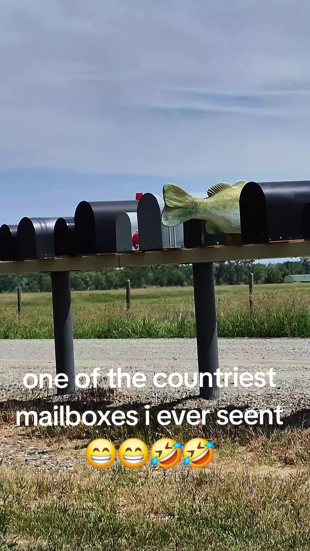 @M O N T A N A