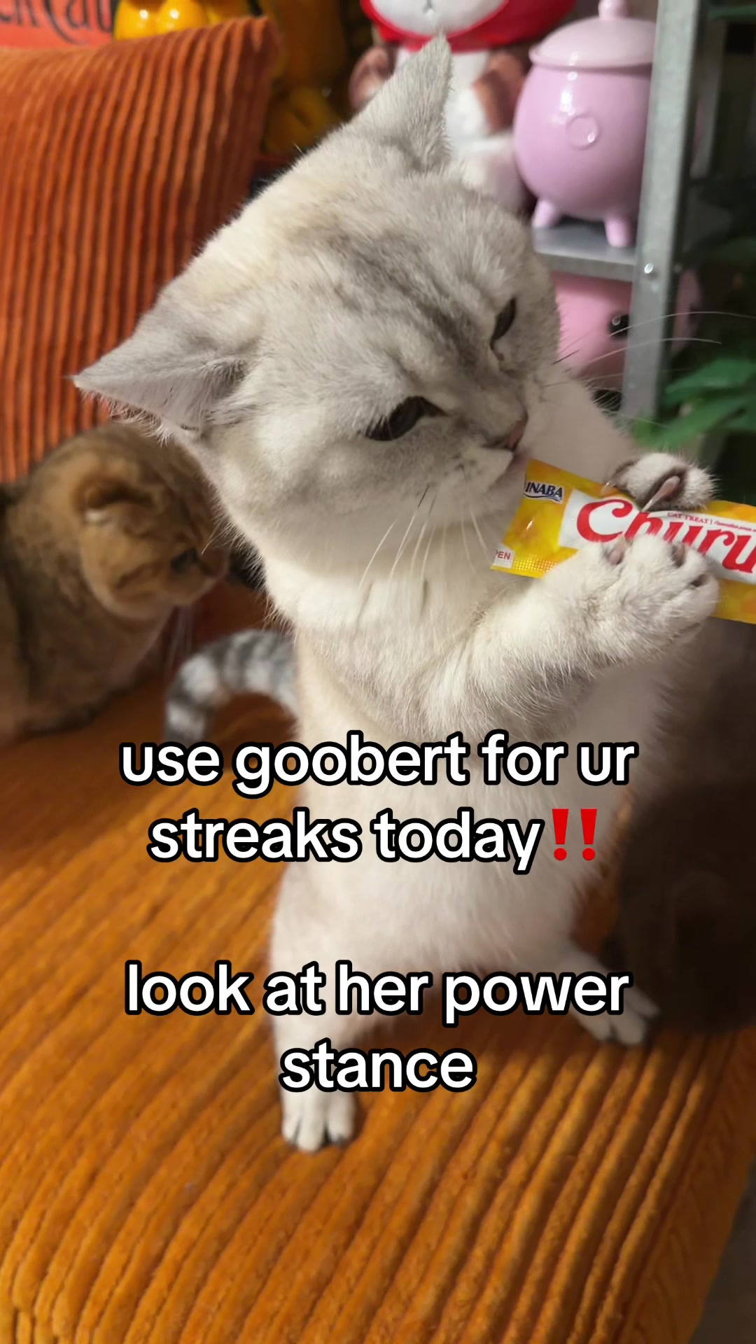 @honey butter chicken biscuit