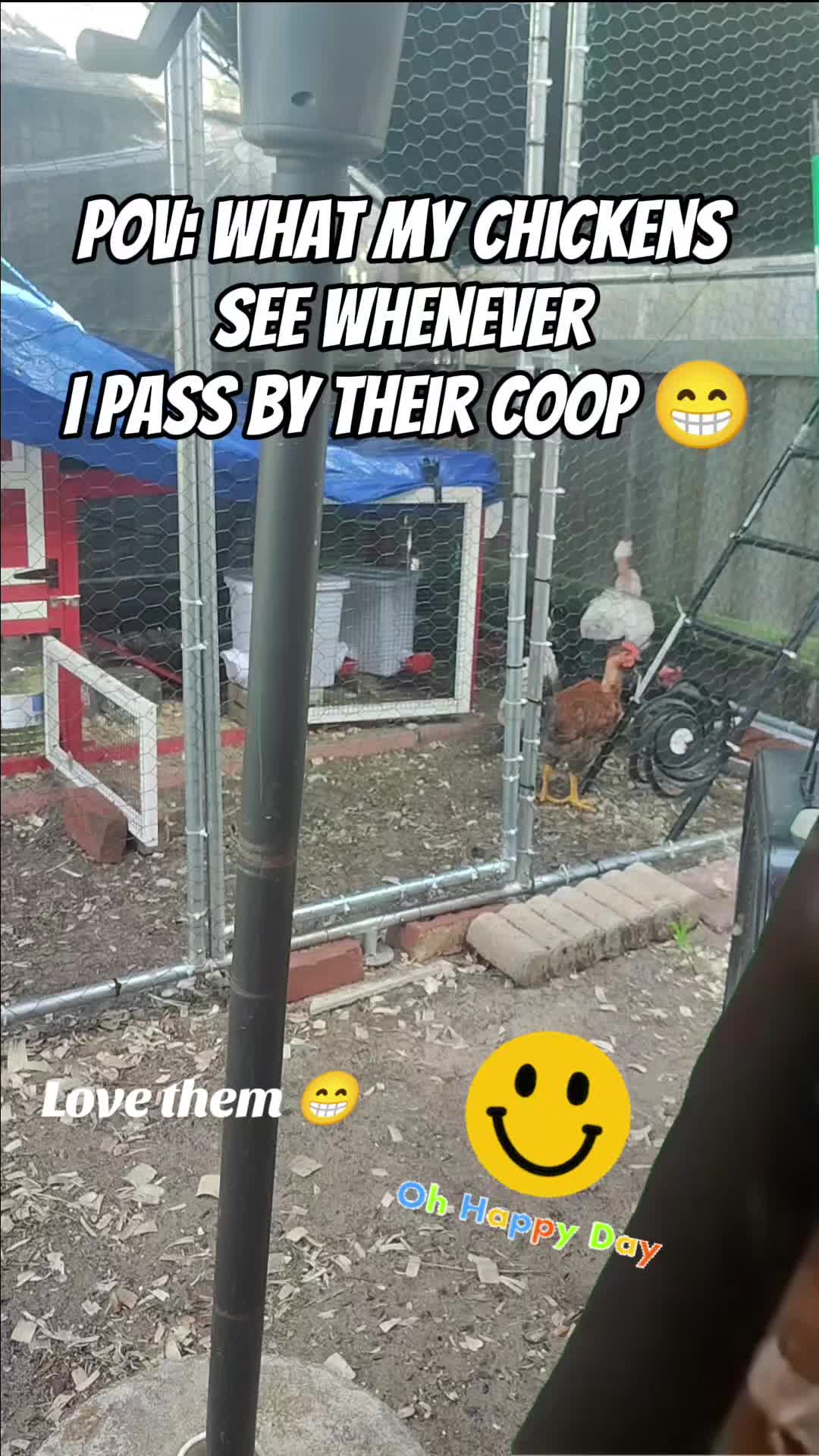 @🇮🇹 🌹𝕊𝕒𝕓𝕪🌹🇺🇲