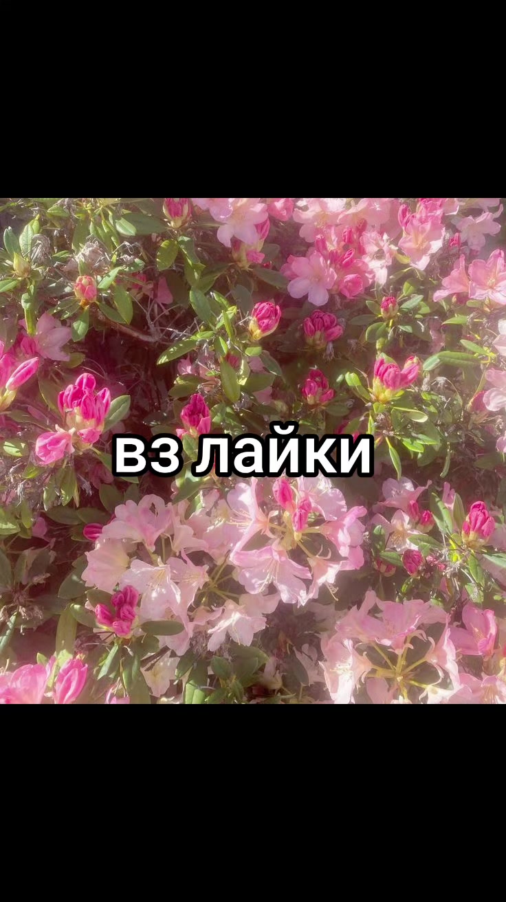 @актив