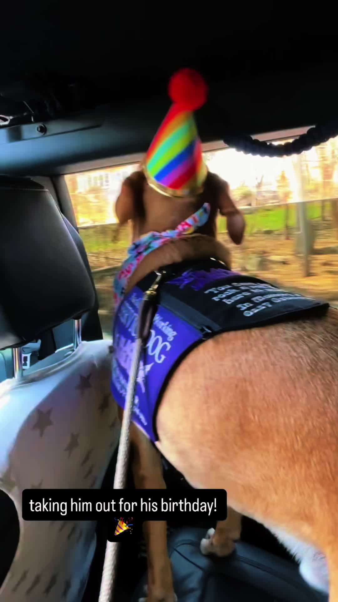 @👹
