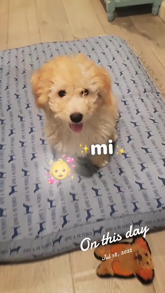 @❤◦•❣◉✿𝓐𝓝𝓖𝓔𝓛𝓨 𝓙𝓡✿◉❣•◦❤