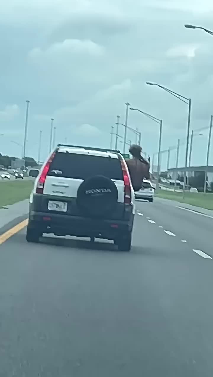@Notijax