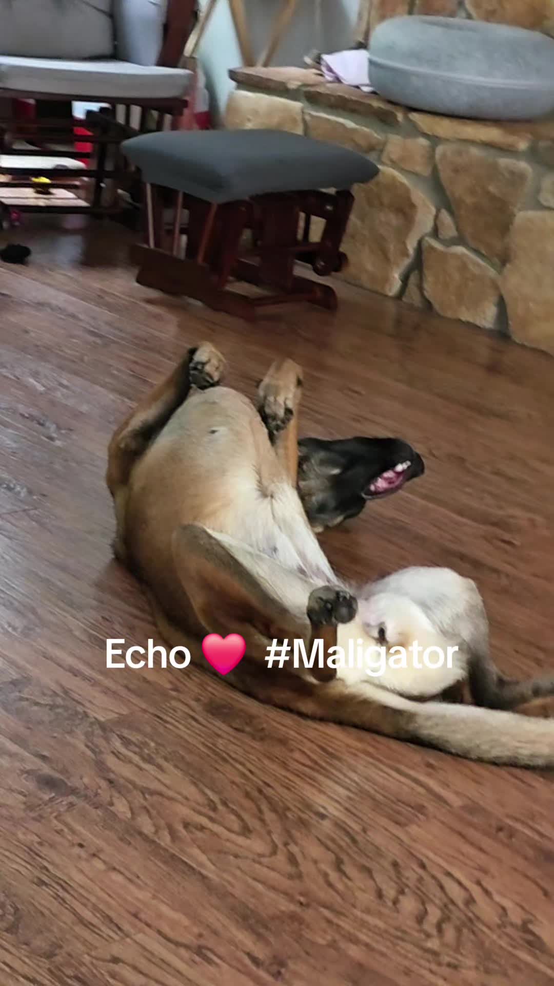 @Echo!
