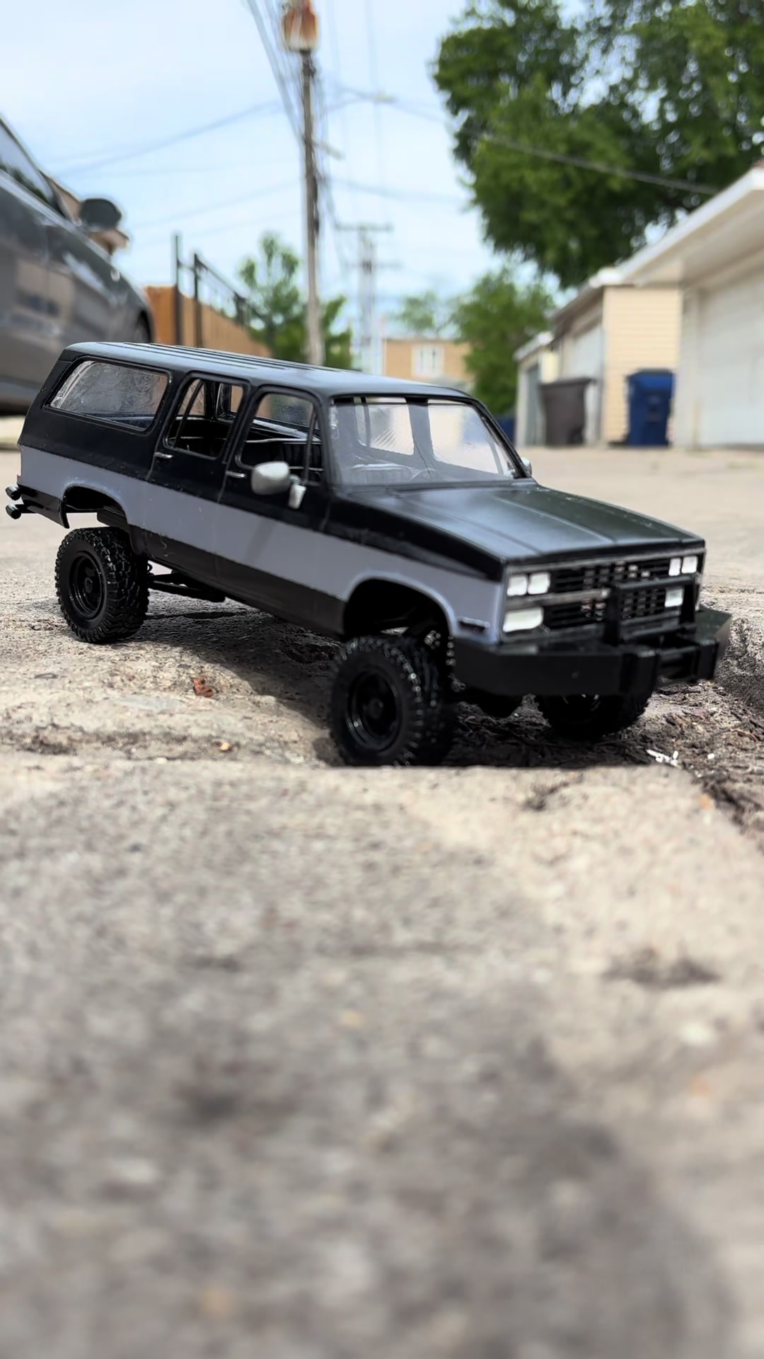 @frost_mane_2300