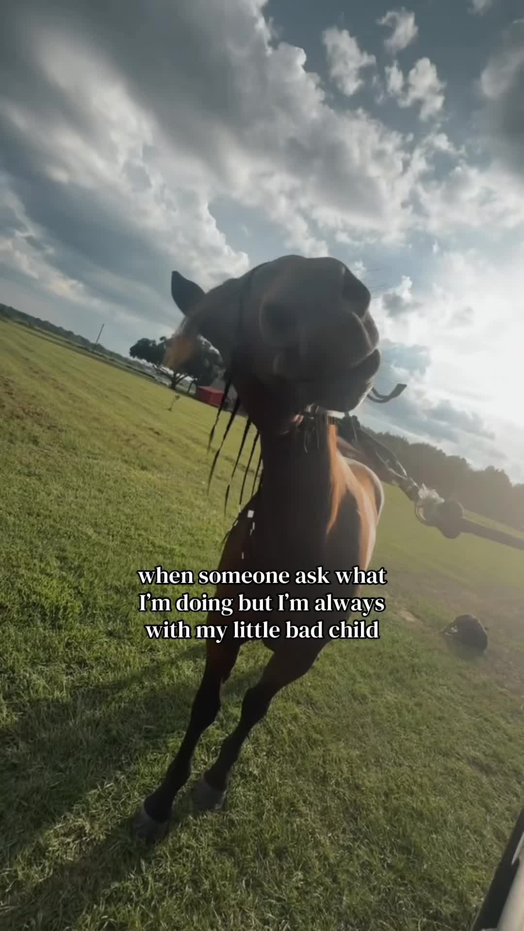 @𝓛𝓲𝓵𝓵𝔂𝓪𝓷𝓷𝓮