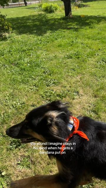 @No Sleep Till