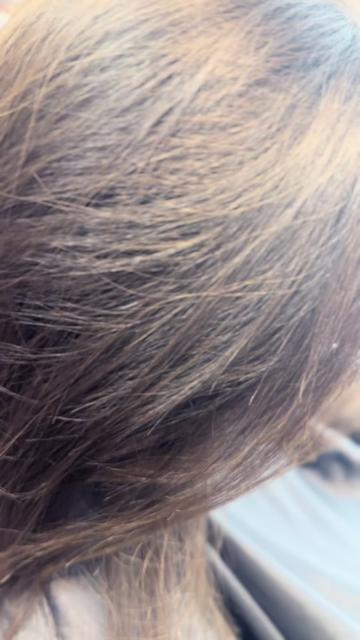 @hairstylingdoglady