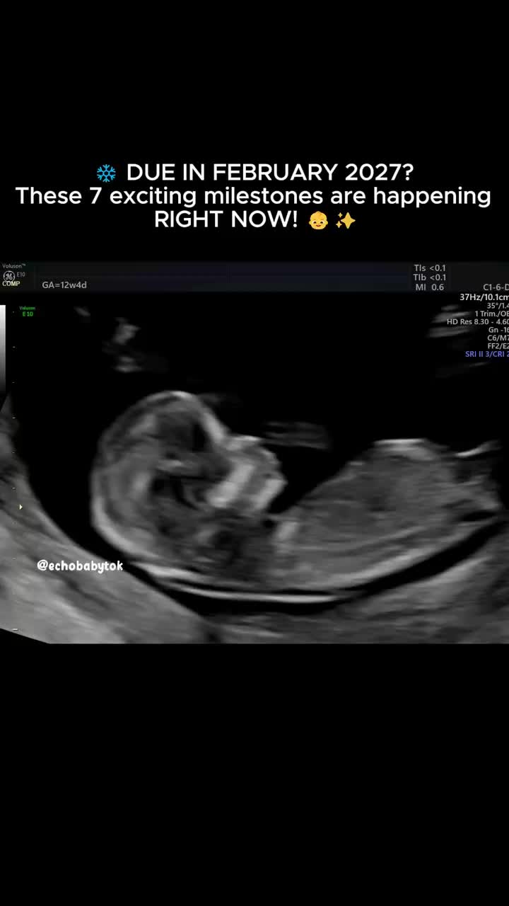 @Echobaby