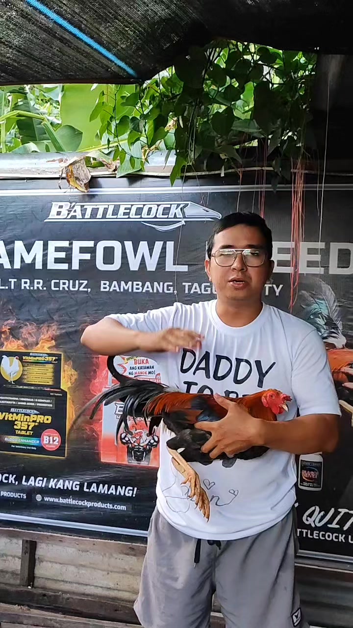 @RDDgamefowlbreeder