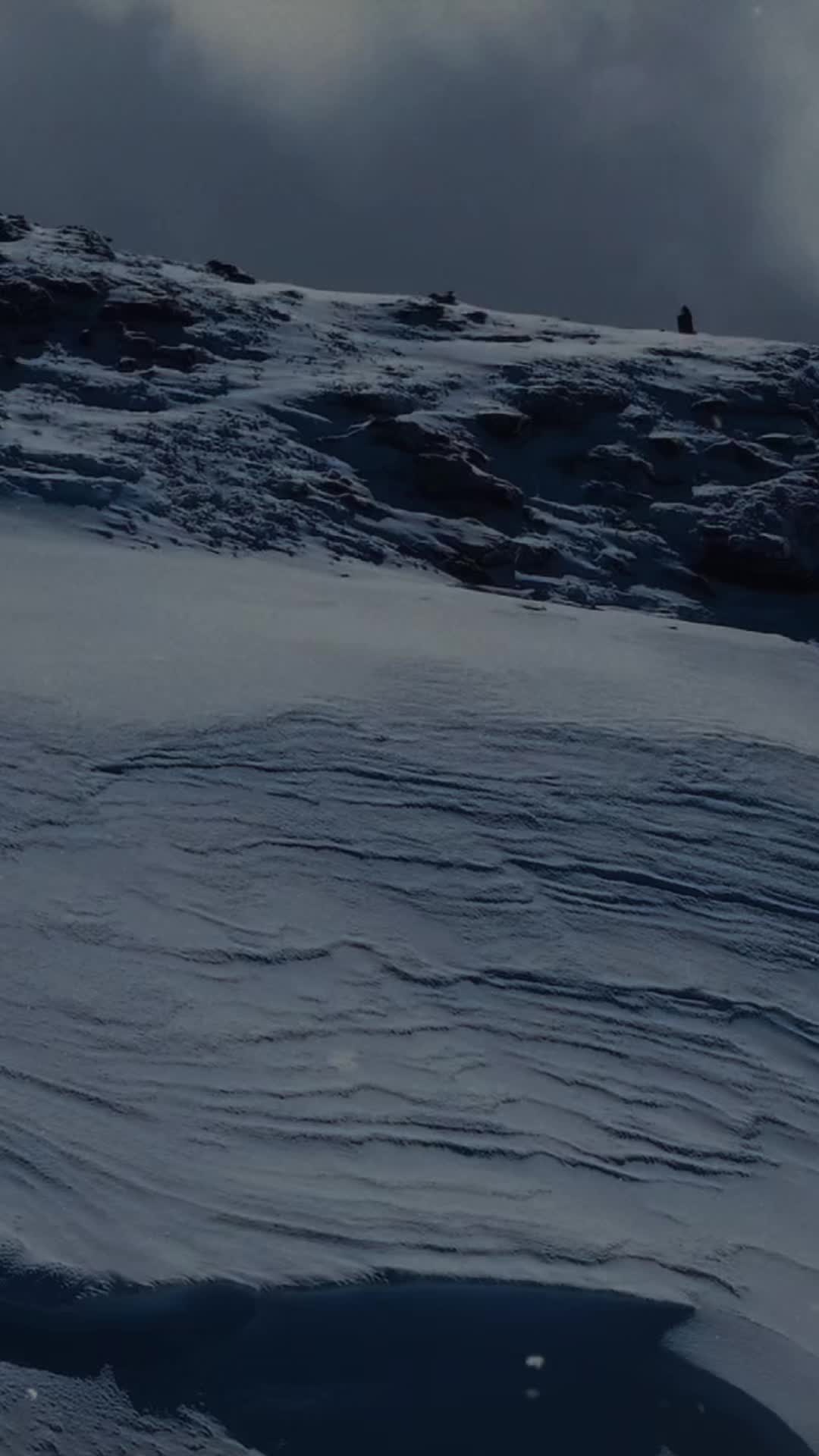 @rider316k