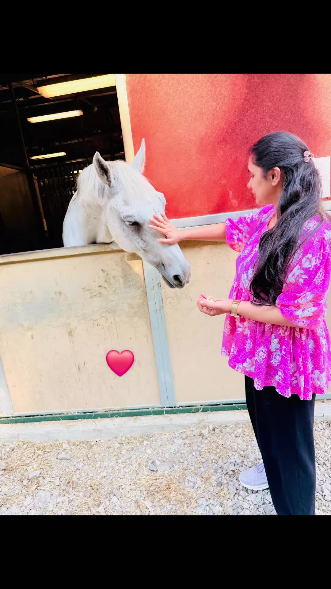 @Ranjita❤️