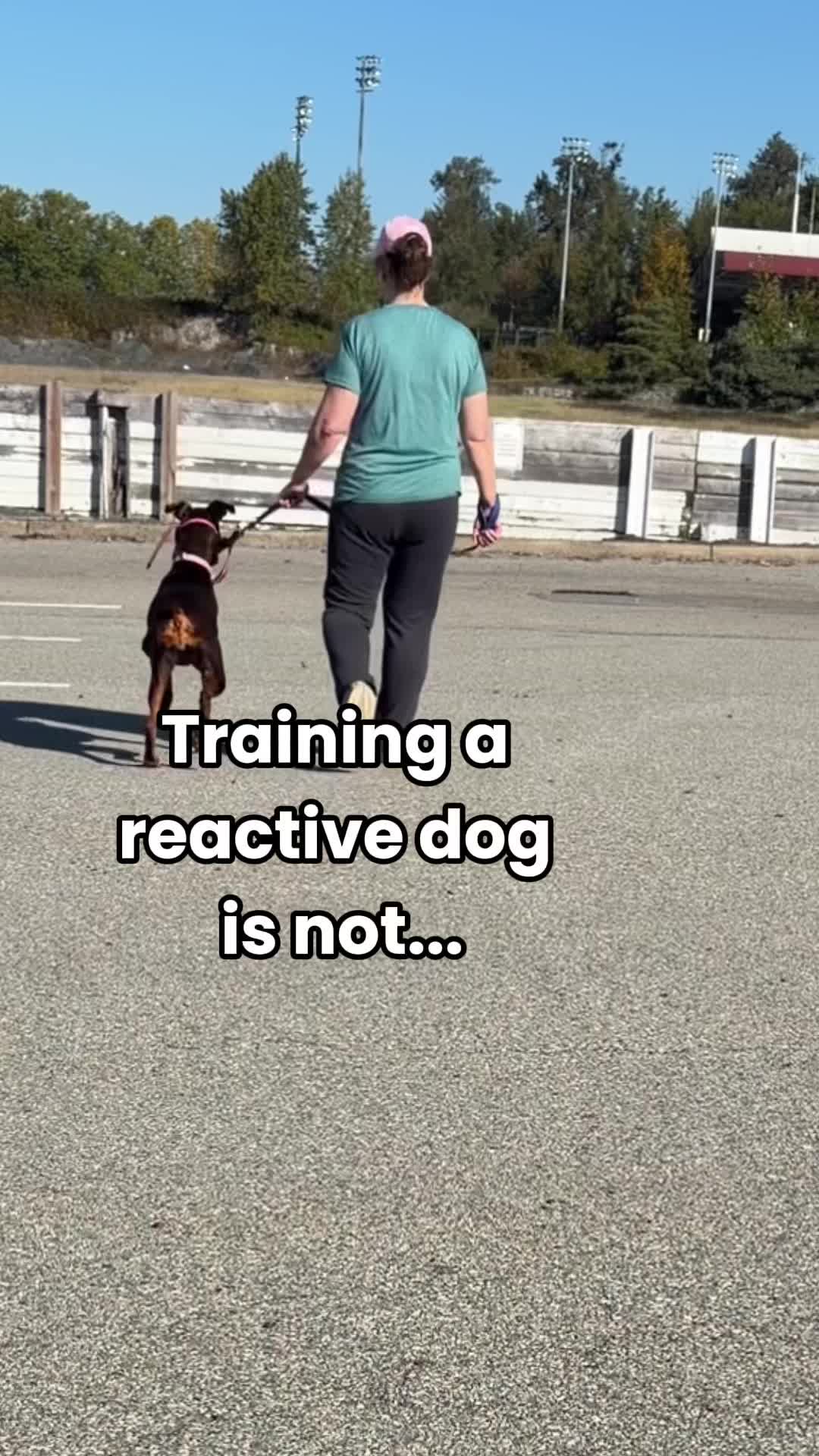 @Luna The Doberman