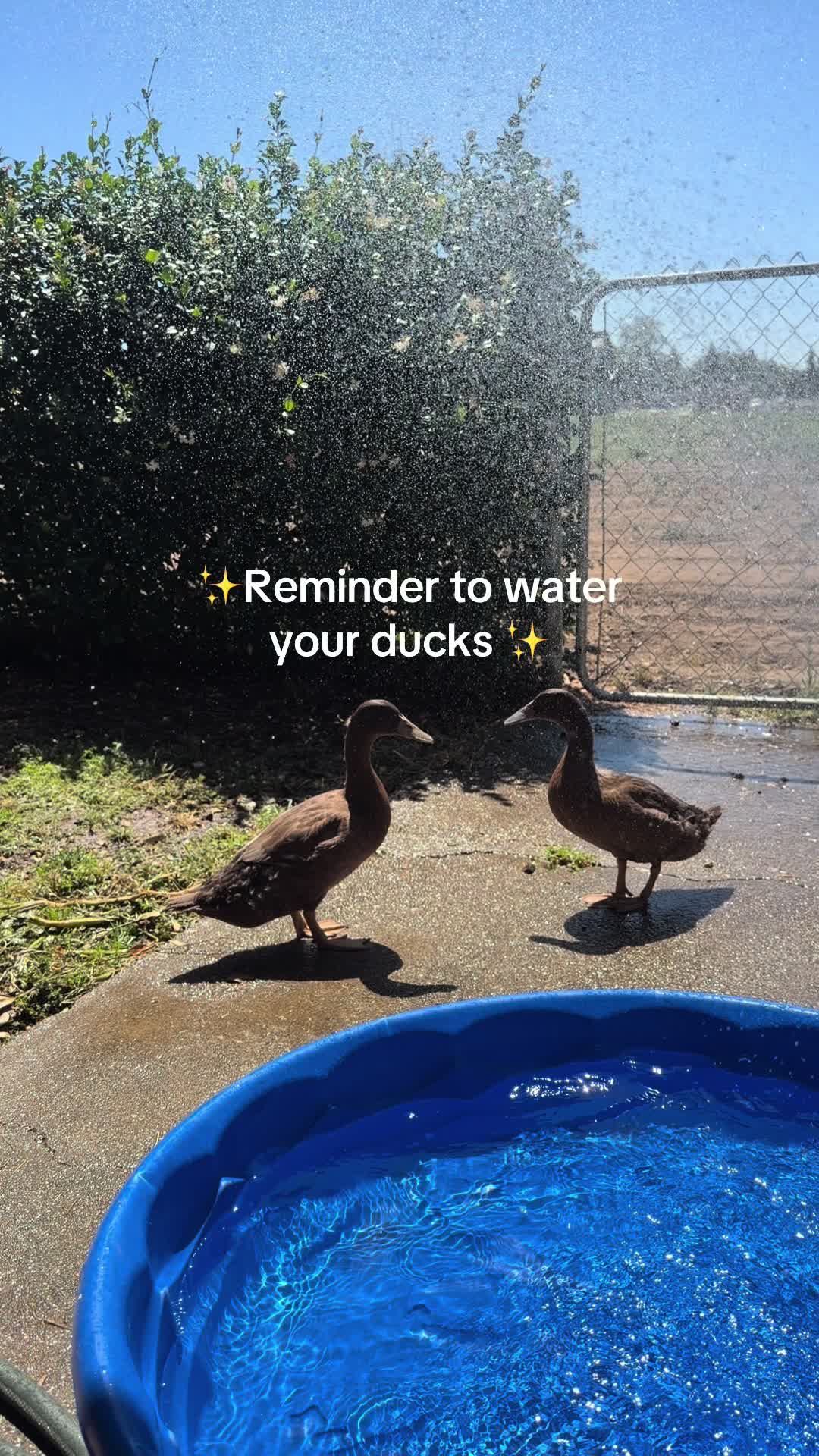 @Em 🦋🧿🪬