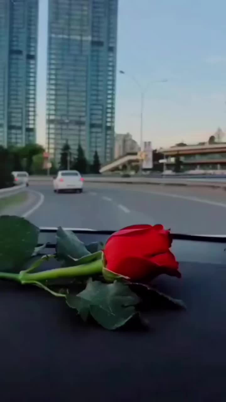 @Cristina Ventura