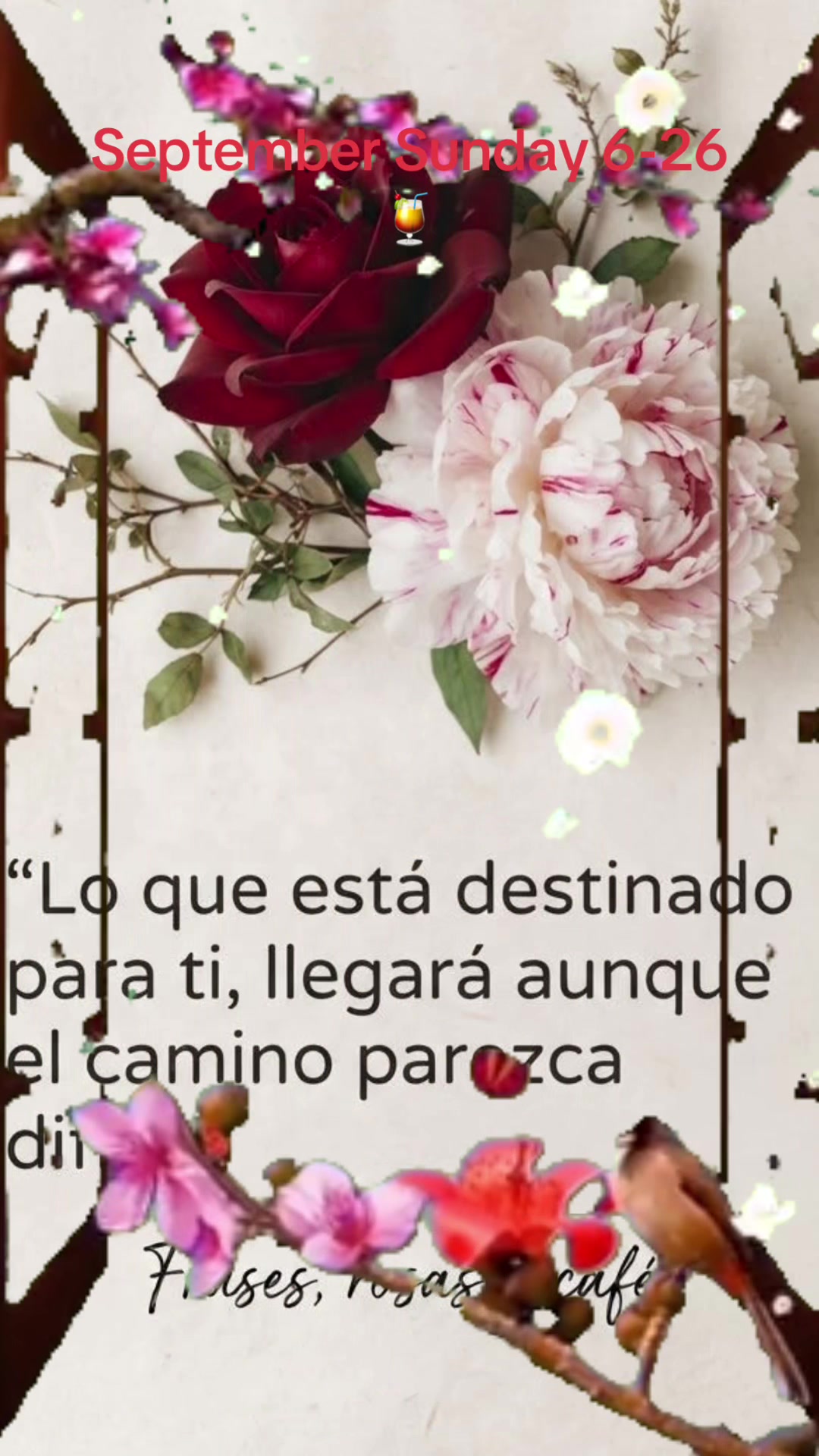 @anamar9