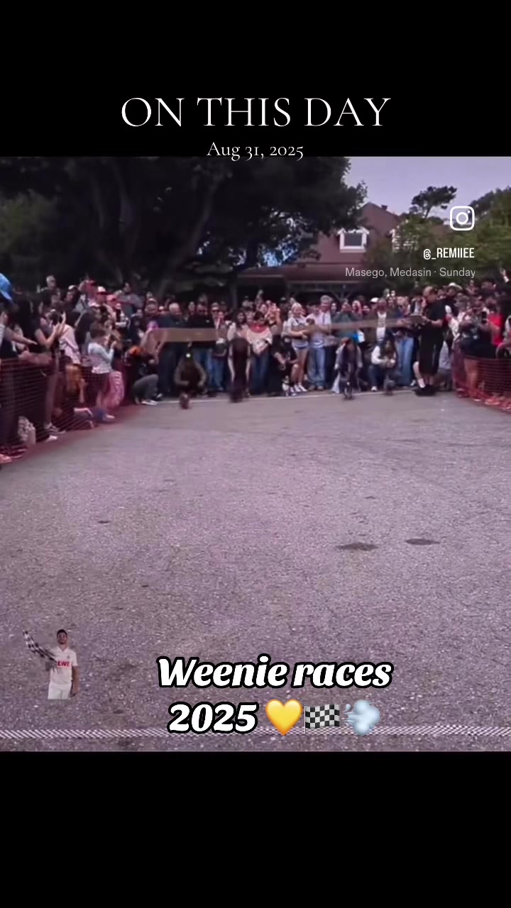@ⓓ ⓞ ⓧ ⓘ ⓔ ⓜ ⓐ ⓜ ⓐ ❥