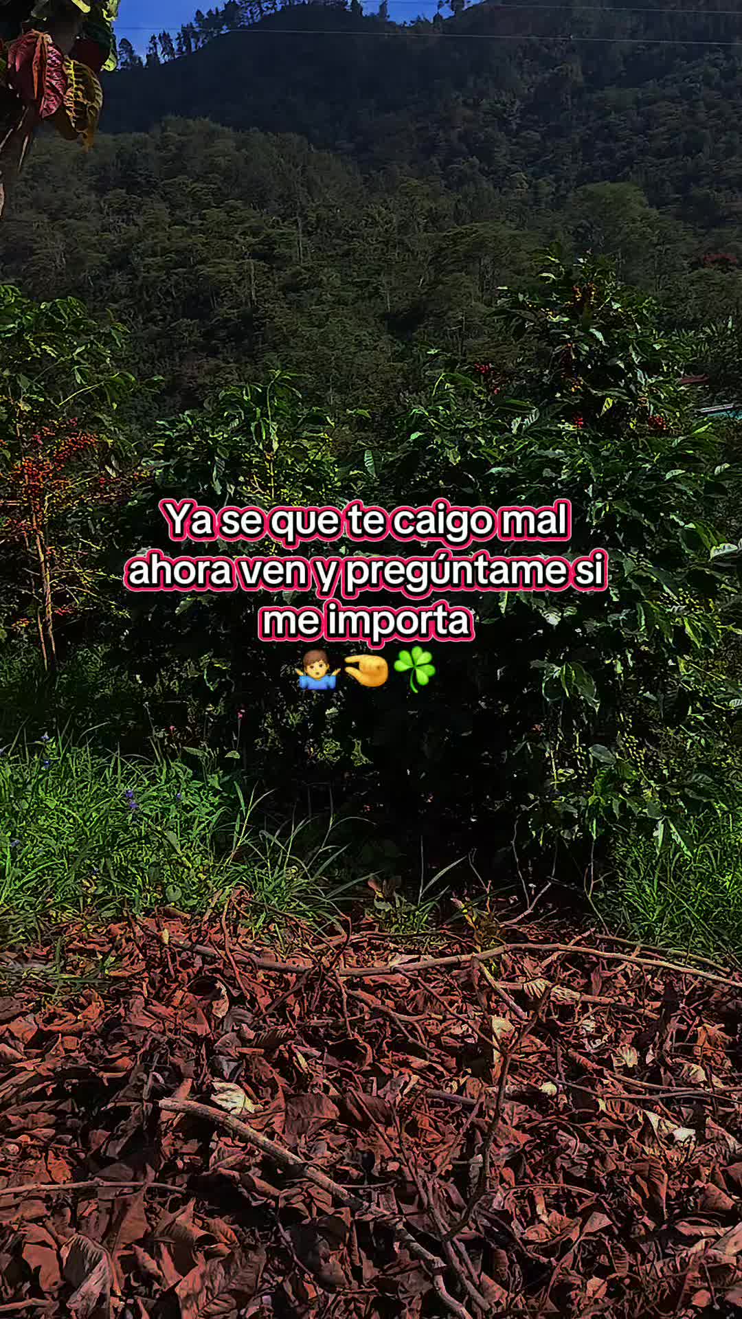 @𝐄𝐕𝐄𝐑