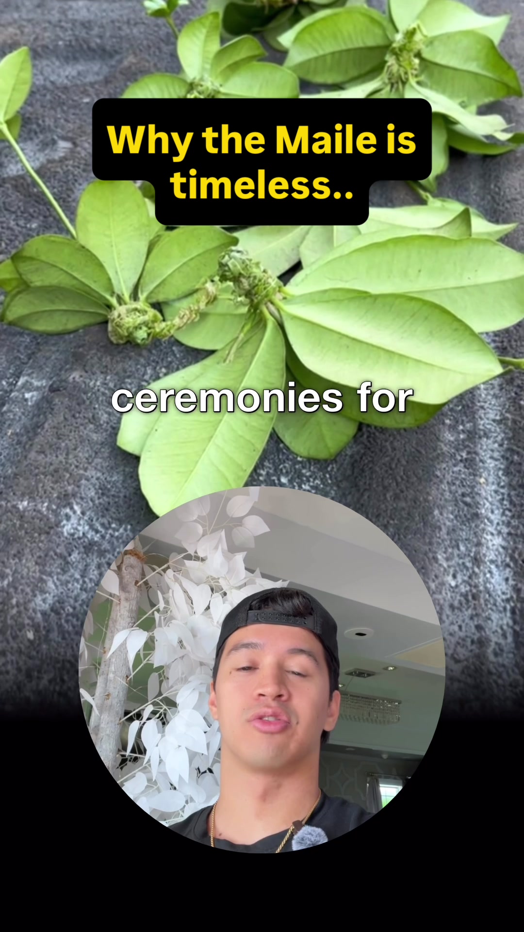 @F E N U A