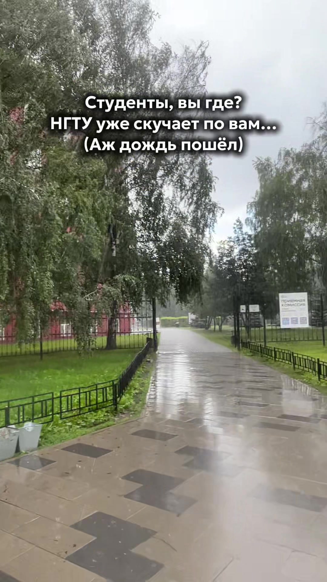 @МФ | НГТУ НЭТИ