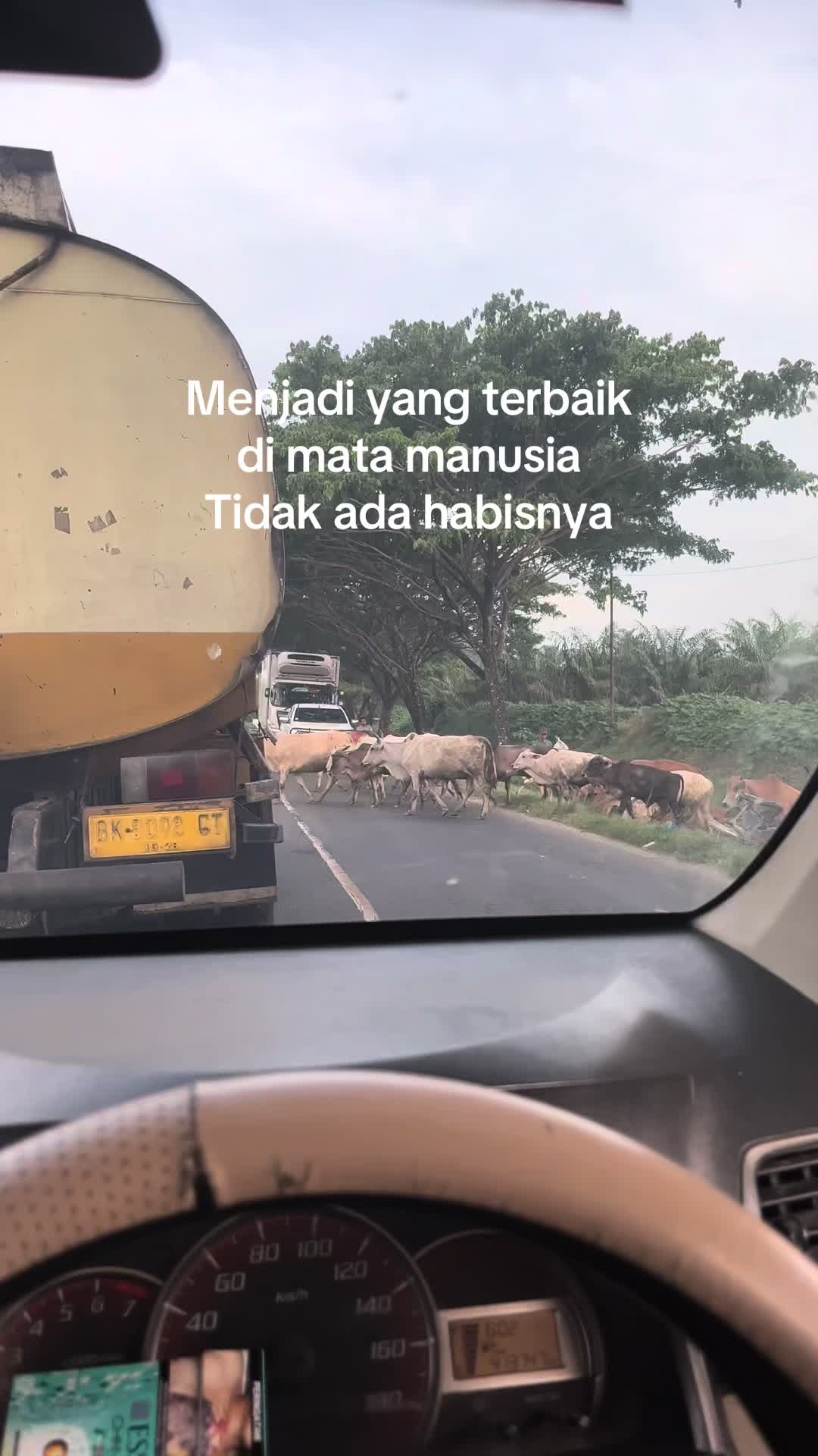 @Burungpuyuh🐦
