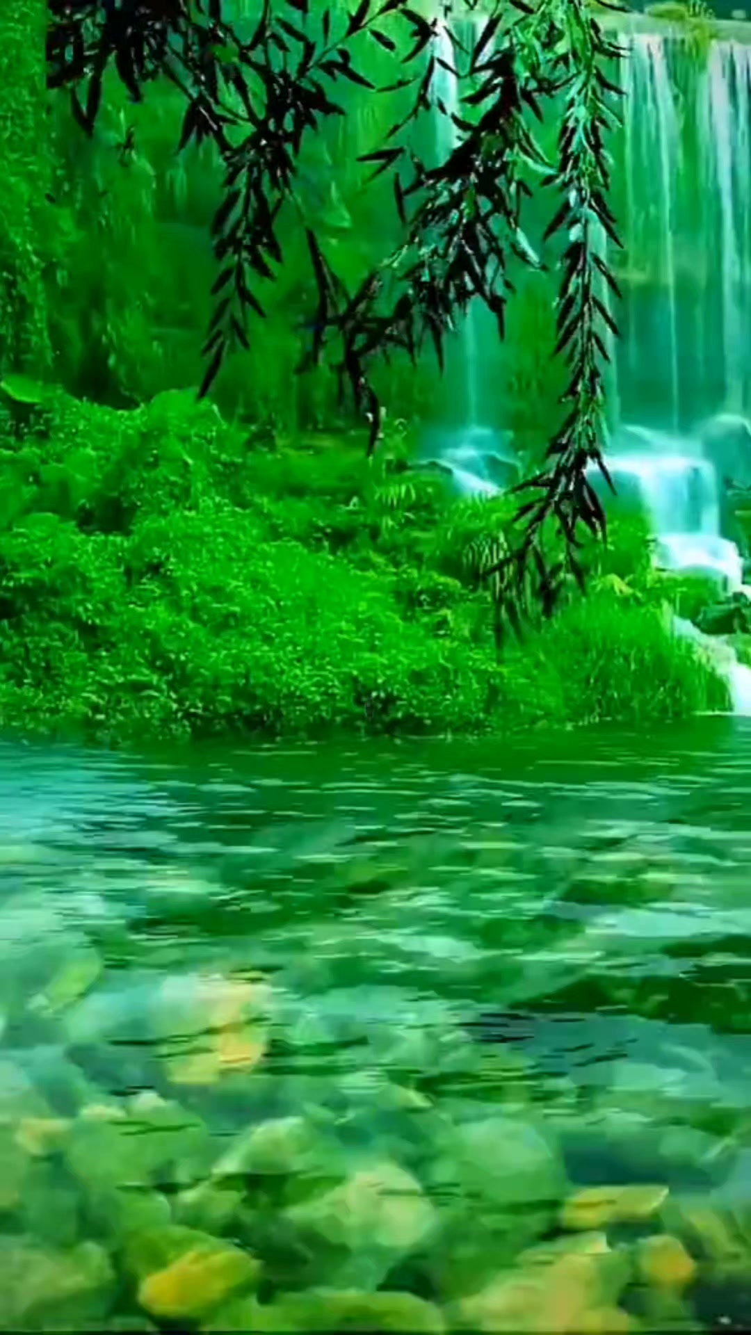 @Bakht Munir mohmand