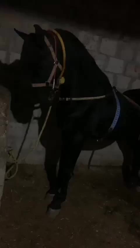 @HassanKazmi