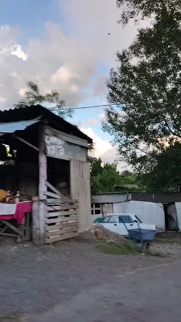 @&Ccedil;inarə😇