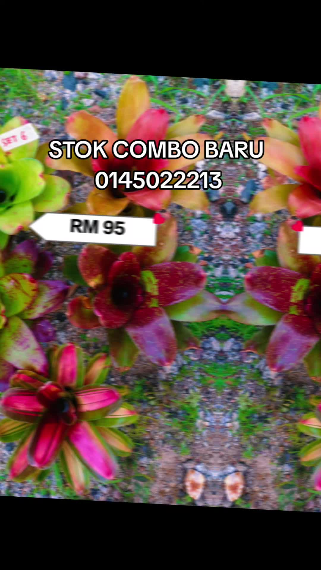 @MEKNA Garden