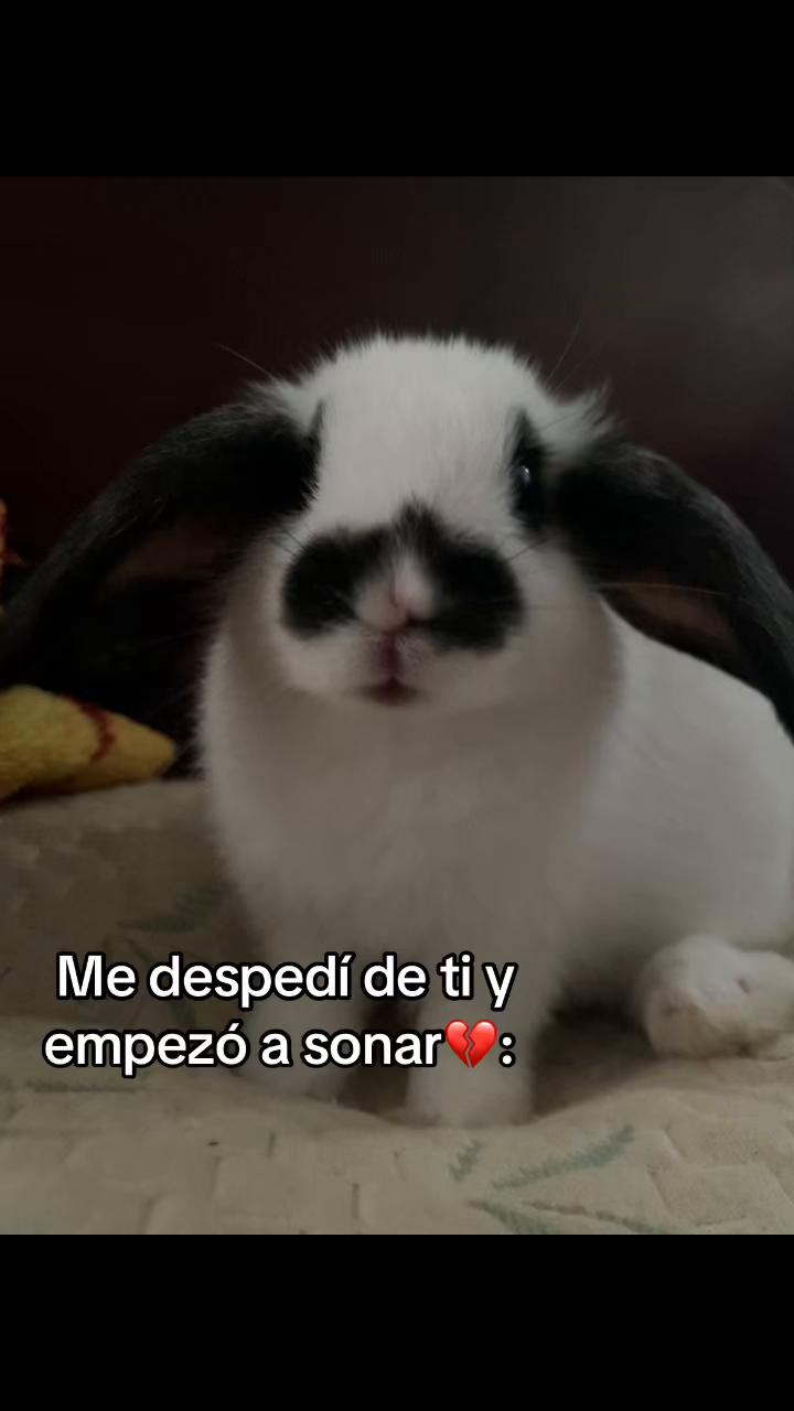 @Garu