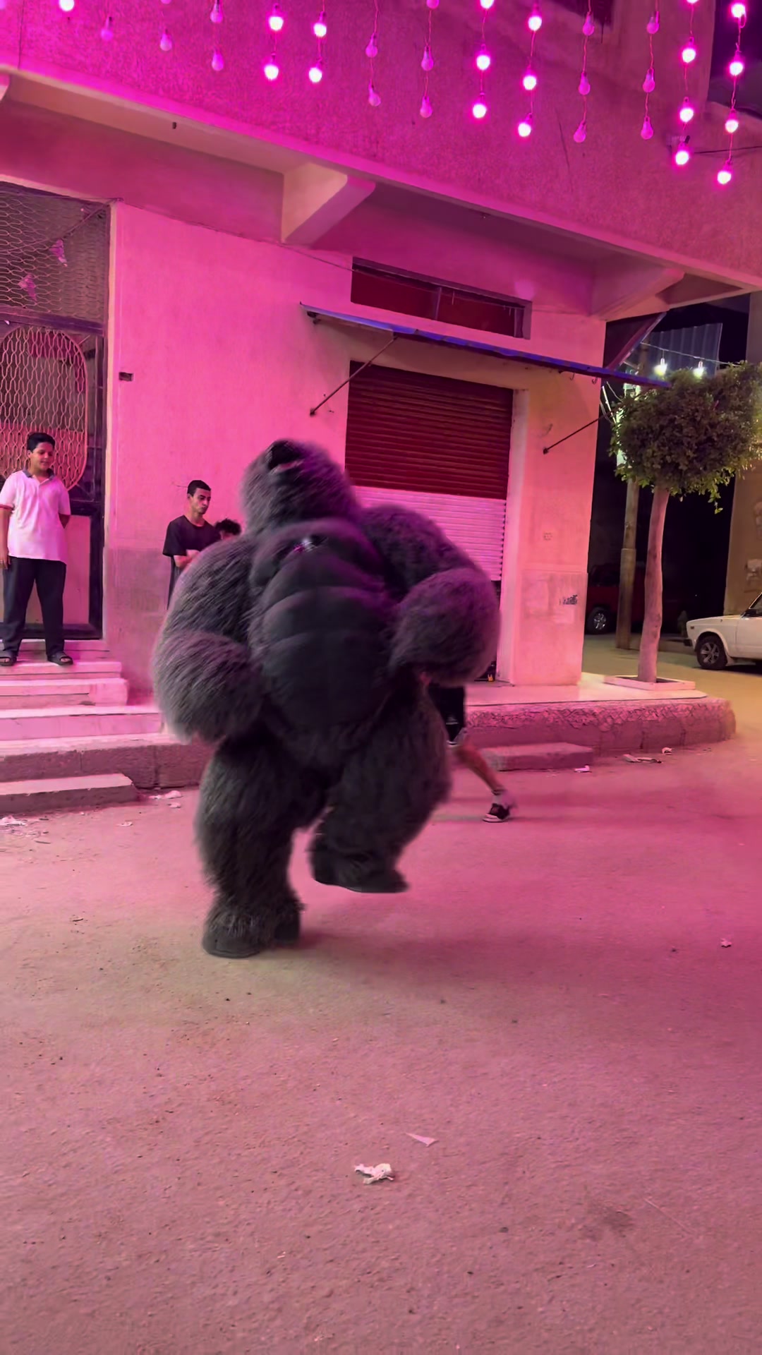 @بودا بتاع غوريلا🦍🔥