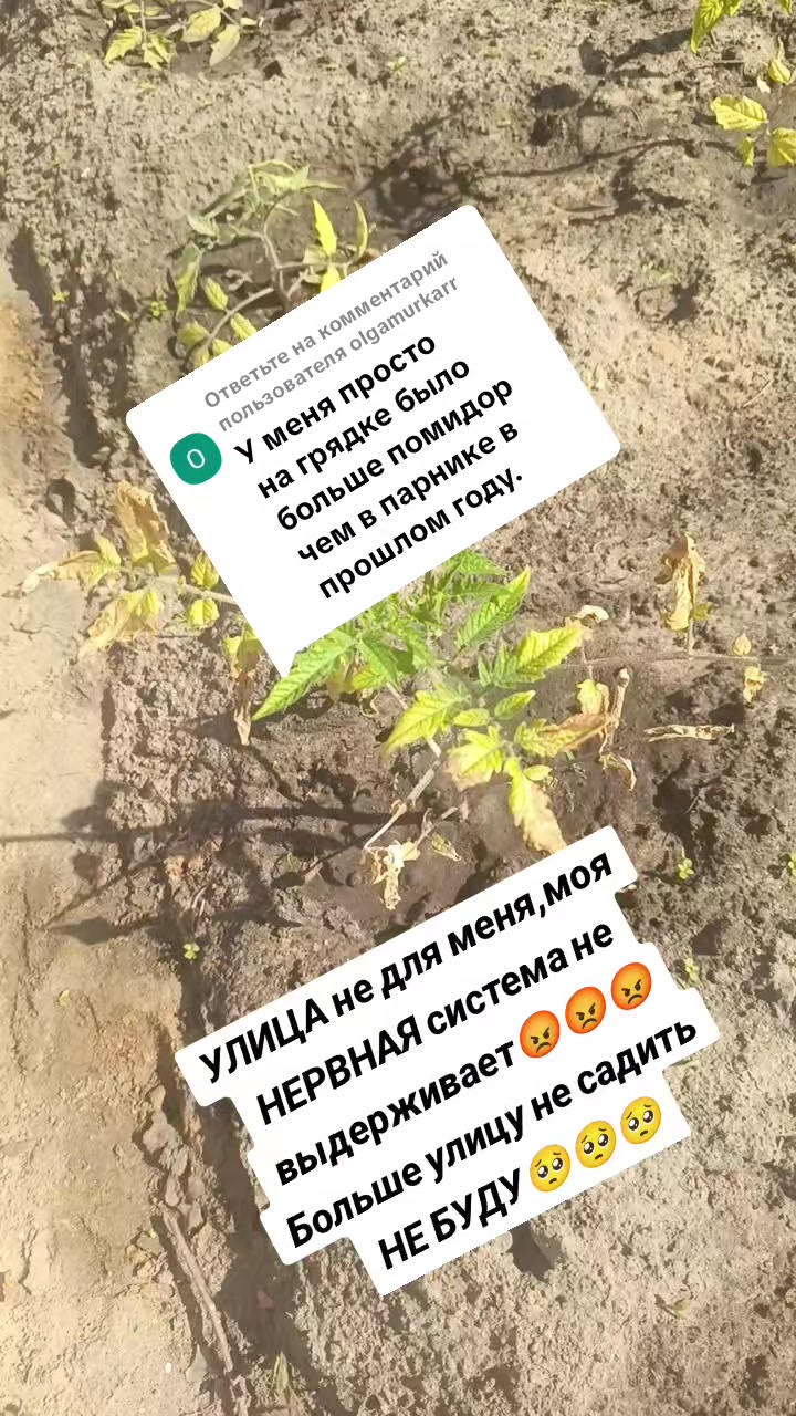 @Оленька