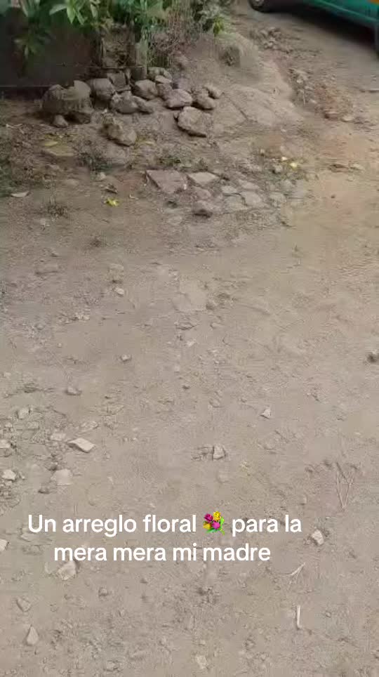 @camejimenez19