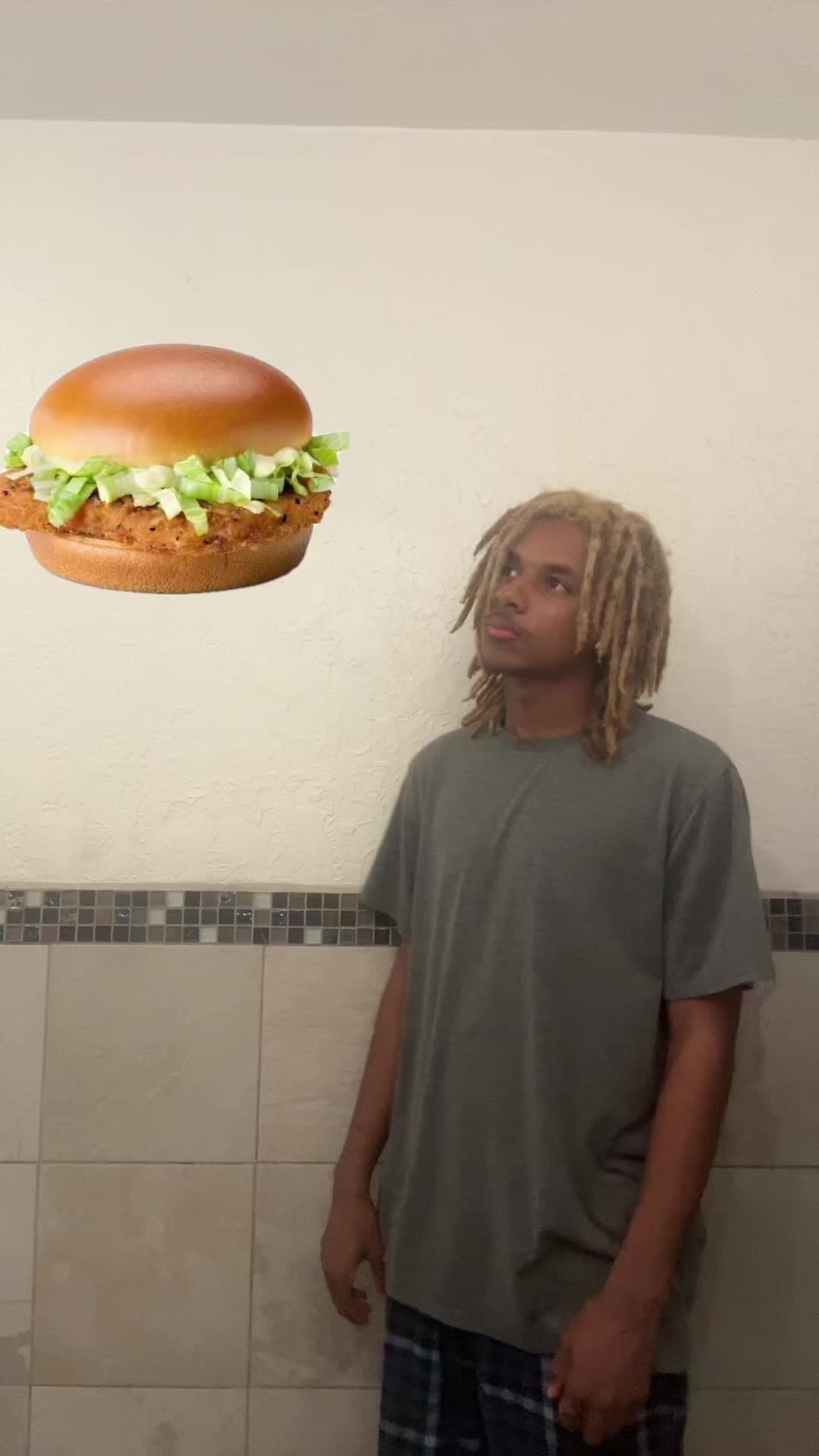 @ohbabyilovemcchickens