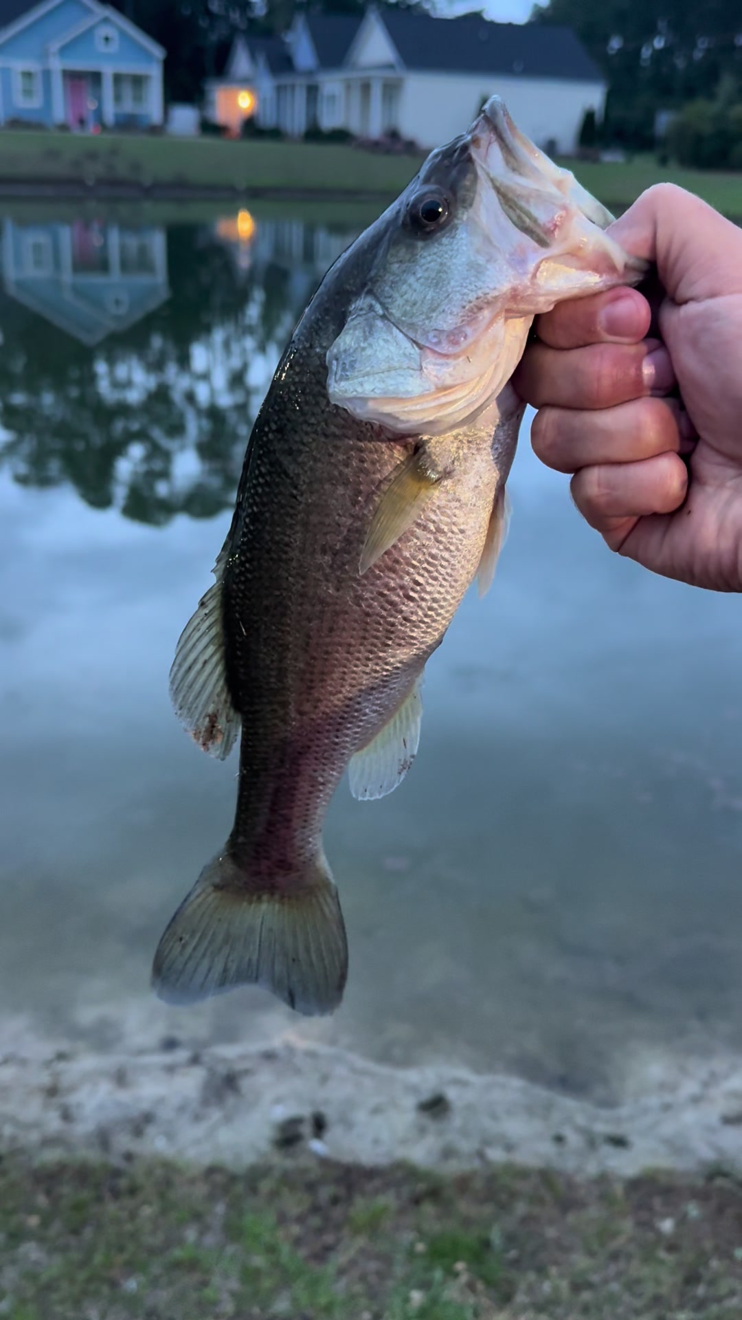 @East-Coast-Fishing