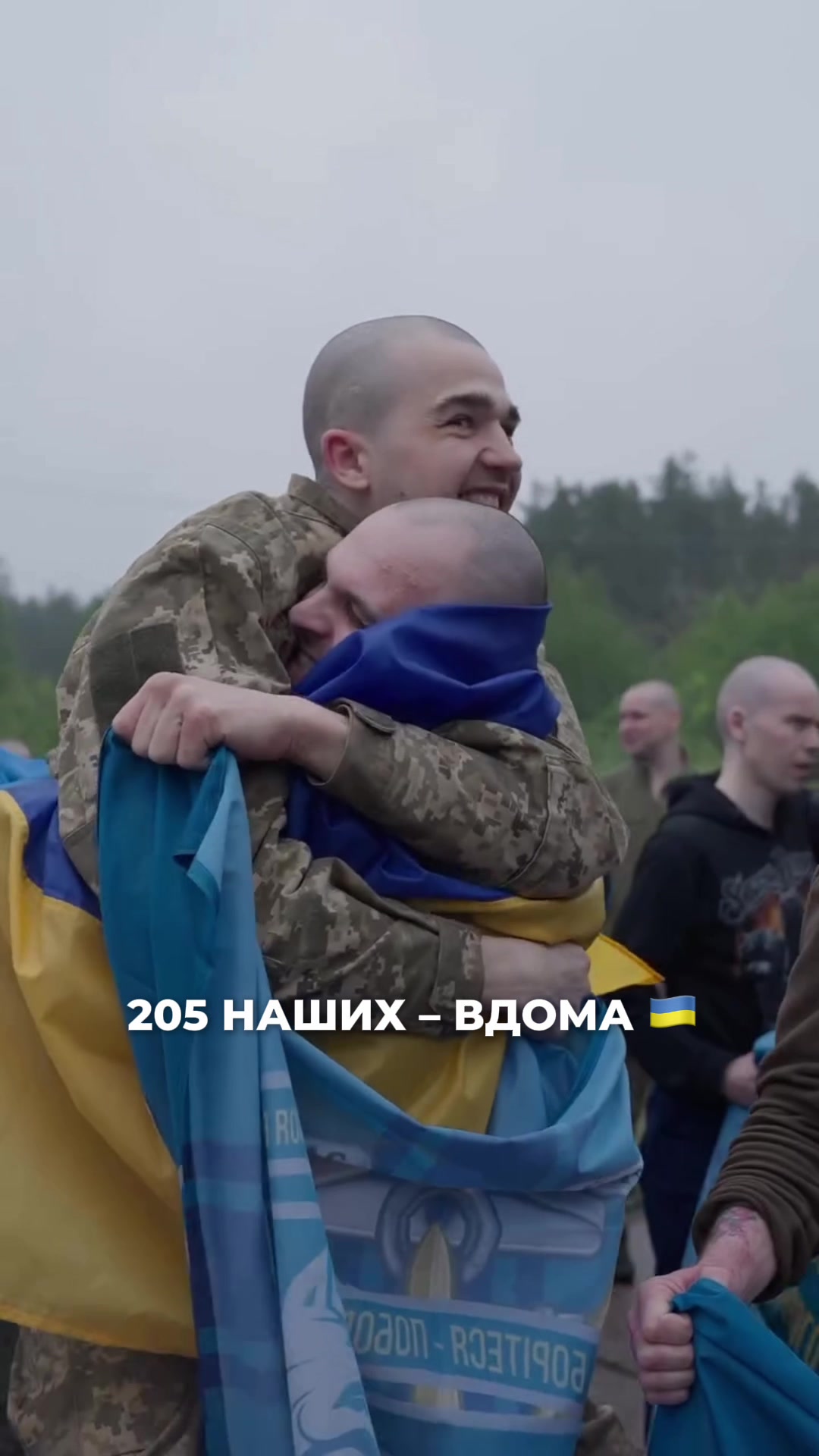 @DIBROVA
