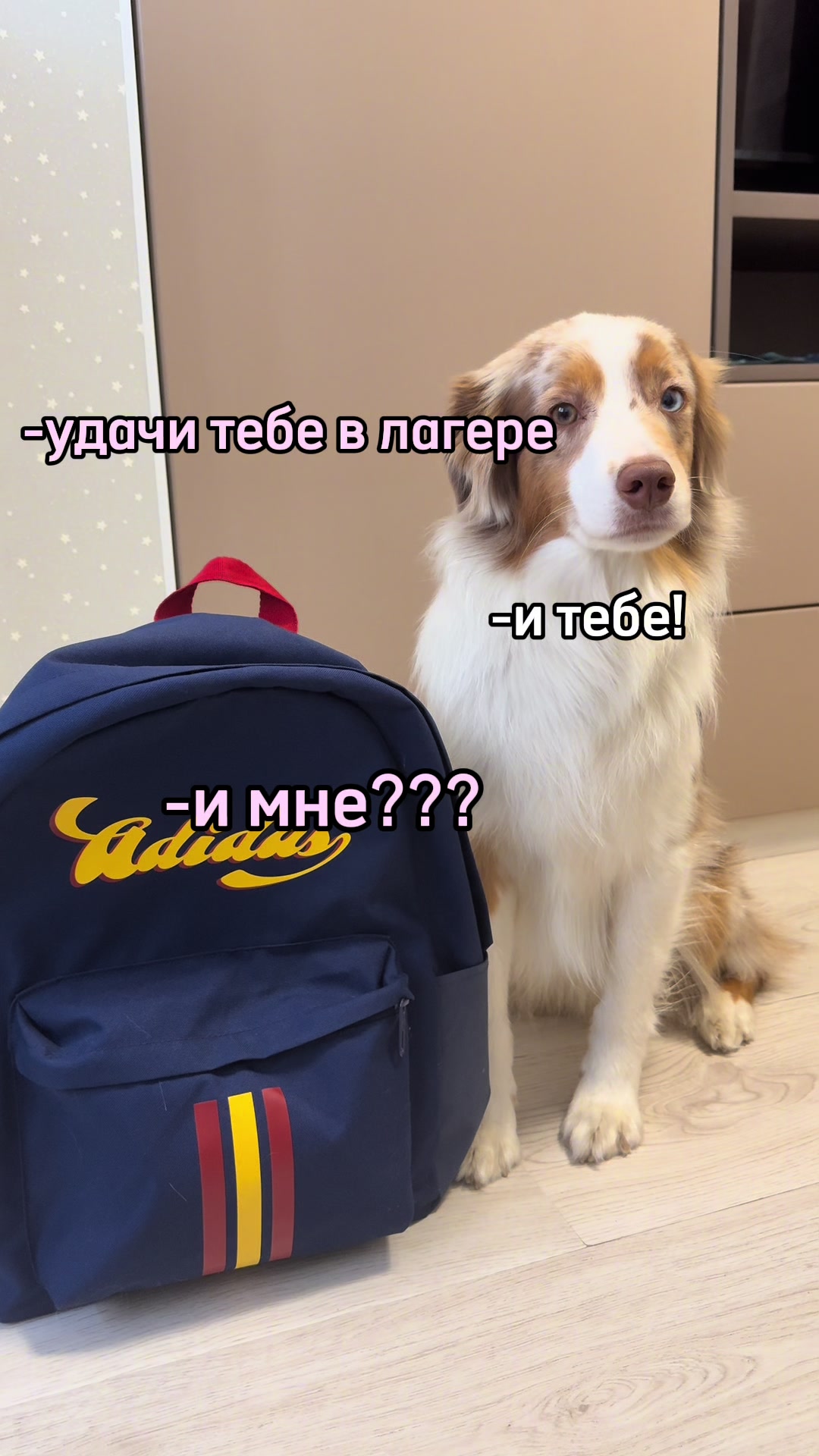 @𝚃𝚠𝚒𝚡