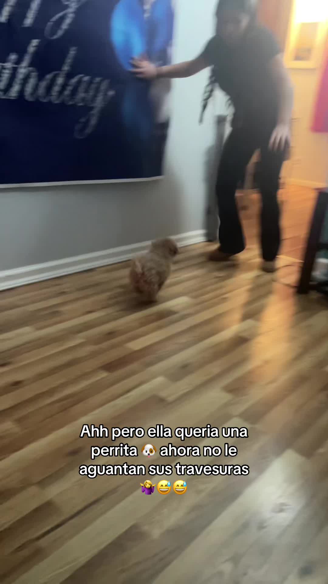 @Morales Lili
