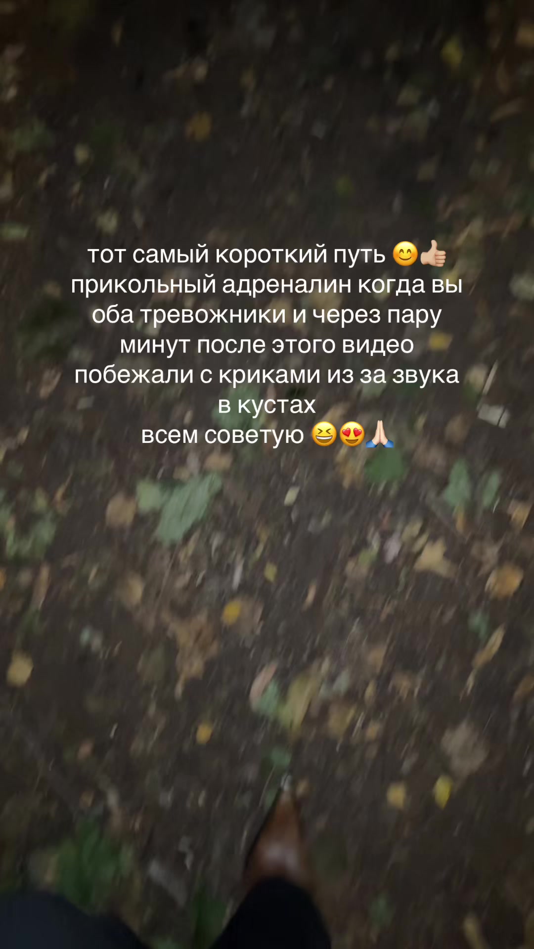@user69905913822