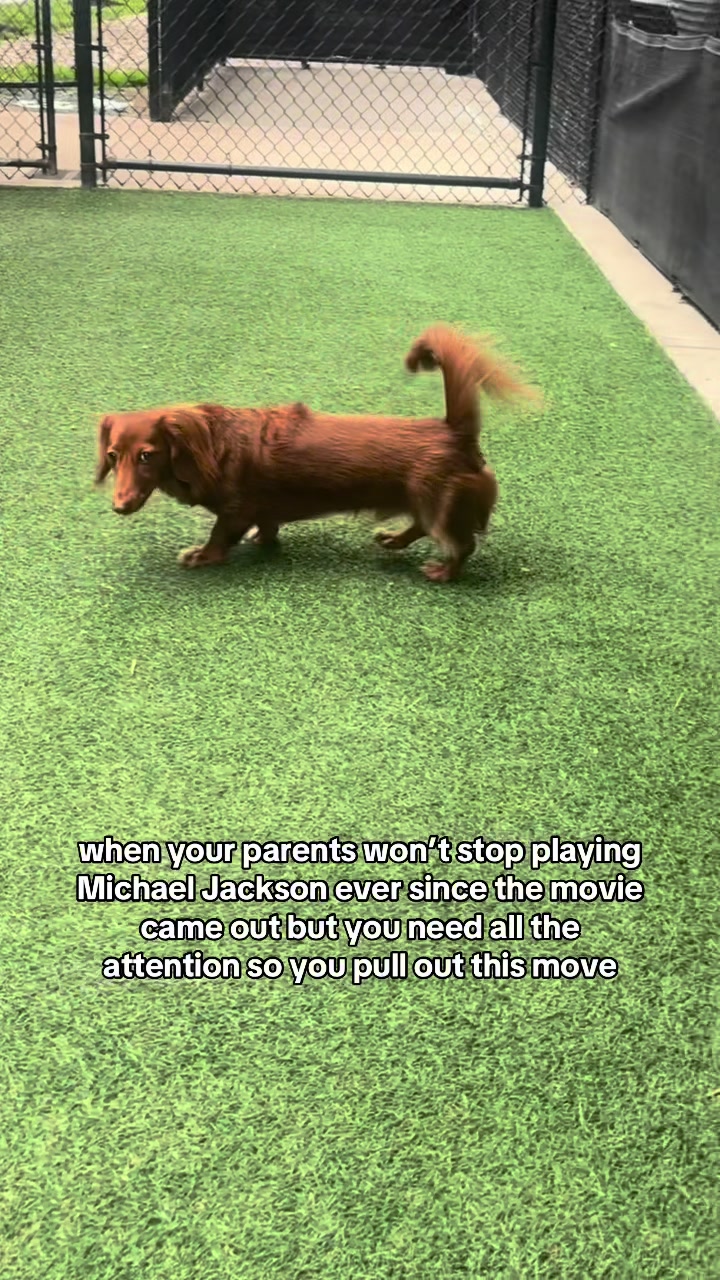 @𝓓𝓪𝓷𝓲𝓮𝓵𝓵𝓮 🤍